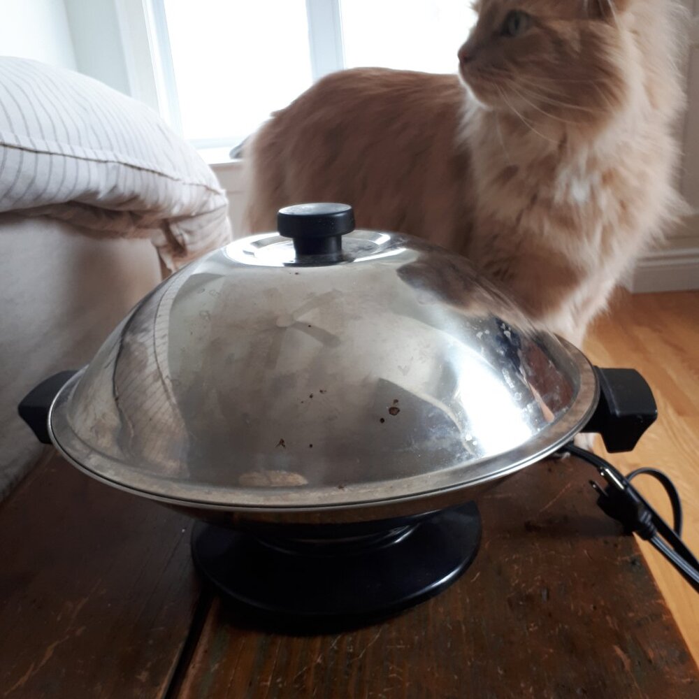 G.E.Electric stainless steel wok.